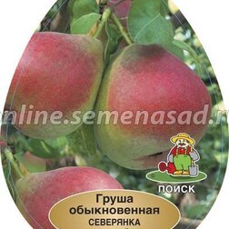 ����  ����� ��������� ����������� (� �����), ������ �� 684 ���