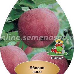 ����  ������ ���� (������ ��������) (� �����), ������ �� 648 ���