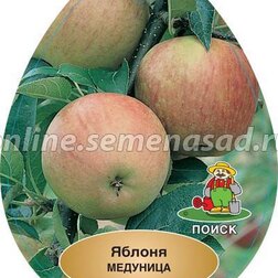 ����  ������ �������� (������ 54-118, ��������������) (� �����), ������ �� 648 ���