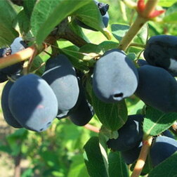 ����  ��������� ��������� ������������� ������, ������ �� 349 ���