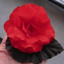 ����  ������� ��������� ������� ����� ������� (1��-100 �����) ���������������� ������, ������ �� 880 ���