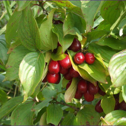 ����  ����� ������������ ���, ������ �� 629 ���