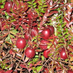 ����  ������ ������������� ��� ������, ������ �� 399 ���