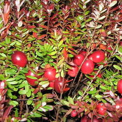 ����  ������ ������������� ��������, ������ �� 399 ���