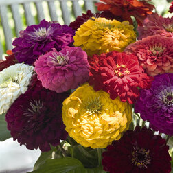 ����  ������ ������� ������ ���� (1����-100��)���������������� ������, ������ �� 720 ���