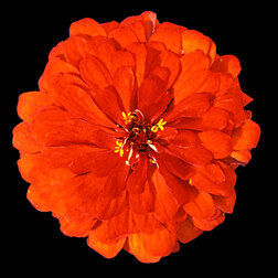 ����  ������ ������ ����� (1��-100 ��) ���������������� ������, ������ �� 480 ���