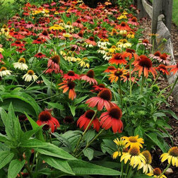 ����  �������� ������ ������ (1��-100��) ���������������� ������, ������ �� 7920 ���