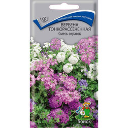 ����  ������� ���������������� ����� �������, ������ �� 26 ���