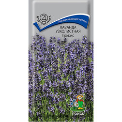 ����  ������� ����������� �������, ������ �� 47 ���