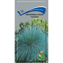 ����  �������� ����� �������, ������ �� 26 ���