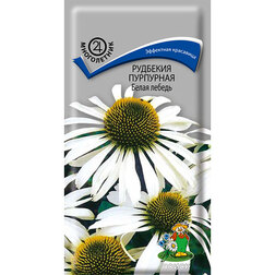 ����  �������� ��������� ����� ������, ������ �� 31 ���