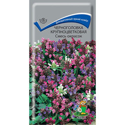 ����  ������������ ��������������� ����� �������, ������ �� 27 ���