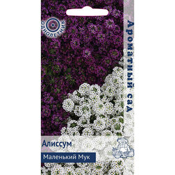 ����  ������� ��������� ��� (��������� ���), ������ �� 33 ���