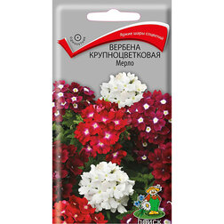 ����  ������� ��������������� �����, ������ �� 90 ���