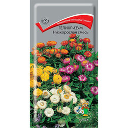 ����  ���������� ����������� �����, ������ �� 26 ���