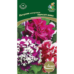 ����  ������� �������� ������� ����, ������ �� 117 ���