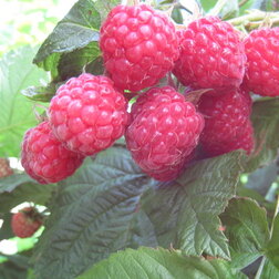 ����  ������ ������������ ������� (���������), ������ �� 389 ���