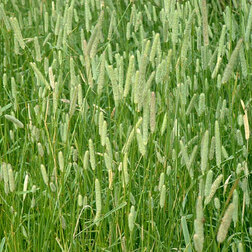 ����  ���������� ������� ���-9 (1��), ������ �� 391 ���