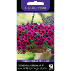 ����  ������� ��������� F1 ��� ���� �������� ����� (������ �����), ������ �� 306 ���