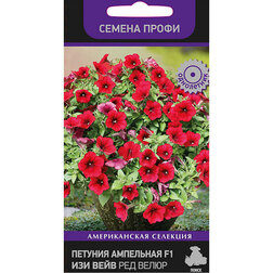 ����  ������� ��������� F1 ��� ���� ��� ����� (������ �����), ������ �� 306 ���