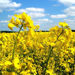 ����  ���� ������ (1��-100��), ������ �� 59 ���