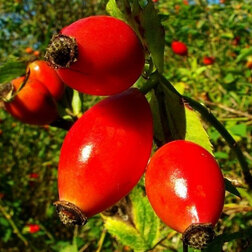 ����  �������� ������������ 3, ������ �� 349 ���