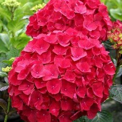 ����  ��������� �������������� ��� �����, ������ �� 612 ���