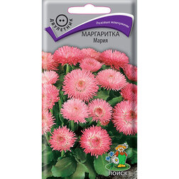 ����  ���������� �����, ������ �� 26 ���