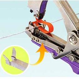 ����  �������� �����, ������ �� 238 ���