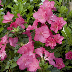 ����  ������ �������� ���� �������, ������ �� 816 ���