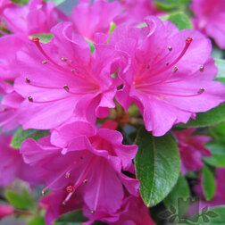 ����  ������ �������� ����� ϸ��, ������ �� 816 ���