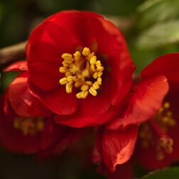 ����  ���� ������������ ������� ��� ����, ������ �� 586 ���