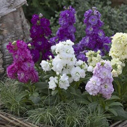 ����  �������� ������� ���� (1��-250��) ���������������� ������, ������ �� 960 ���