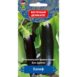 ����  �������� ����� (��������� ���������), ������ �� 43 ���