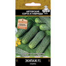 ����  ������ ������ F1, ������ �� 37 ���