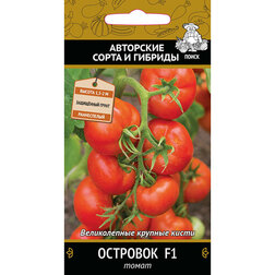 ����  ����� �������� F1, ������ �� 32 ���