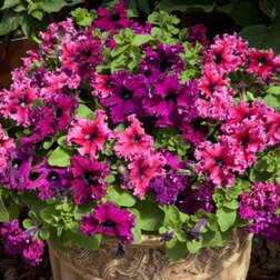 ����  ������� ����������� �������� ������ ���� (1��-100�����) ���������������� ������, ������ �� 400 ���