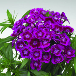 ����  �������� �������� �������� ����� (1��-100�����) ���������������� ������, ������ �� 1440 ���