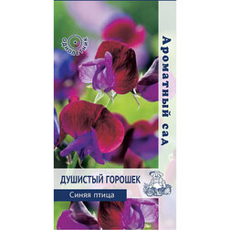 ����  �������� ������� ����� ����� (��������� ���), ������ �� 45 ���