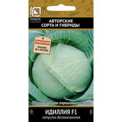 ����  ������� ������������ ������� F1, ������ �� 60 ���