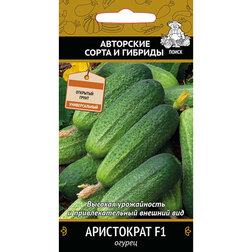 ����  ������ ���������� F1, ������ �� 29 ���