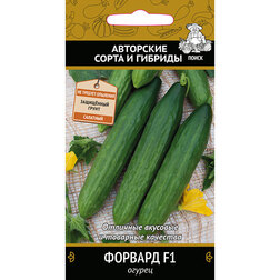 ����  ������ ������� F1, ������ �� 61 ���