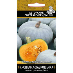 ����  ����� ������������� ��������-����������, ������ �� 37 ���