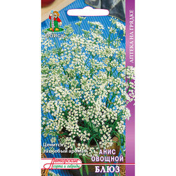 ����  ���� ������� ����, ������ �� 29 ���