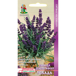 ����  ������� ������, ������ �� 34 ���