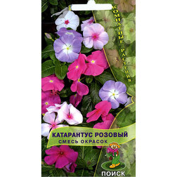 ����  ���������� ������� ����� �������, ������ �� 35 ���