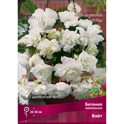 ����  ������� ��������� ���� (2 ��.), ������ �� 374 ���