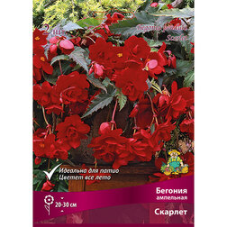 ����  ������� ��������� ������� (2 ��.), ������ �� 374 ���