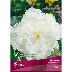 ����  ������� ����������� ���� (2 ��.), ������ �� 357 ���