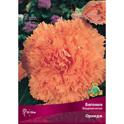 ����  ������� ����������� ������, ������ �� 357 ���